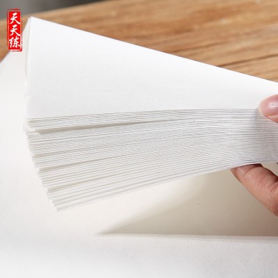 天天练 4开8开生宣熟宣宣纸 入门书法绘画练习宣纸 白色书法宣纸     1本图5