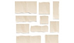 世界上最薄的印刷用纸是“龙江制造” 恒丰纸业的向“新”之路