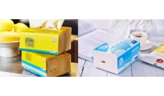 卫生纸选黄色还是白色？挑纸你需要知道这些