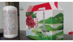 “零纸浆”包装箱助力荔枝销售 广东和佑环科打造环保包装新标杆