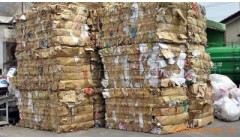 2024年6月25日纸厂废纸价格信息