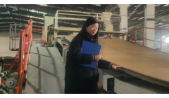 江苏双蝶集团研发出新型高抗张耐磨损瓦楞纸板