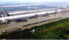 2024年下半年国际木材市场预测