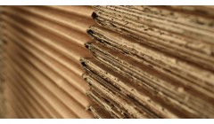 新增瓦楞纸产能35万吨 陕西东方智慧PM2开机出纸