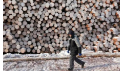 中国对美加征关税商品延期清单 特定木材继续豁免