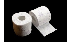 俄罗斯宣布重大科学突破——可冲散的卫生纸卷