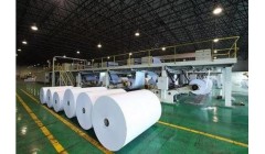 总投资200亿元 太阳纸业推动广西传统产业新发展