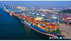 山东港口青岛港：数智化赋能全球最大纸浆进口港