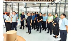 日照市市场监管局领导来亚太森博调研