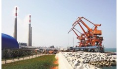 海南金红叶入围2024“海南省百强企业”及“海南省制造业50强企业”