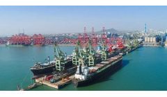 “链”出新动能｜亚太森博：一块木片引发的产业聚变