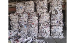 2024年8月8日纸厂废纸价格信息