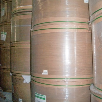 批发白卡纸250g白卡纸佛山单铜纸双面白卡纸食品级白卡纸批发供应图4