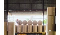 金洲银洲成功构建全产业链 助力中堂造纸业转型升级