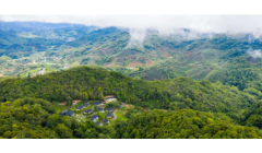 普洱市大力发展林浆纸产业 引领地方产业升级新格局