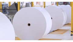 博汇纸业：领先半步 就是赢家