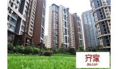 亚洲最大单线产能BlueLine浆线 福伊特助力华侨凤凰实现高效生产