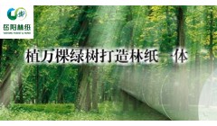 岳阳林纸谋篇林业碳汇开发 抓紧培育公司“第二增长曲线”