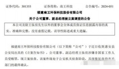 涉嫌非国家工作人员受贿罪 “纸袋大王”年薪百万高管被立案侦查