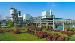 岳阳林纸连续签约多个项目！