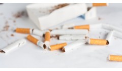 特种纸：辊子中高是影响纸张质量的纸机参数之一