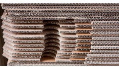 年产量达3亿㎡纸板、纸箱 安徽新淮纸业引领产业升级