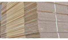 荣成长沙纸箱厂二期预计明年投产 平湖纸箱厂正在规划中