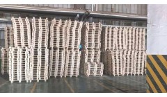 山东博汇木栈板产量突破16.8万块