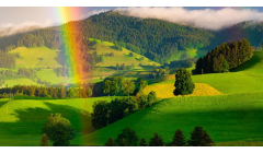 岳阳林纸“碳”路株洲 共绘生态价值转换新画卷