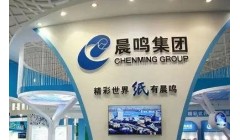 晨鸣纸业为上海晨鸣浆纸提供不超过7亿元的连带责任保证担保