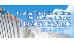 晨鸣纸业背债381亿宣告18.2亿逾期 近三年扣非亏33.78亿超七成产能关停