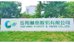 岳阳林纸： 收购骏泰科技100%股权暨关联交易