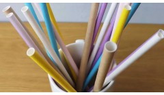 “以纸代塑”驱动新需求 纸企加速特种纸产能布局