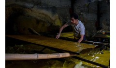 造纸术花开神州