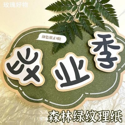 彩烙纸幼儿园环创手工纸全开100克200克硬卡多色可选礼物包装纸图2