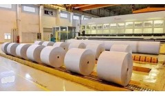 造纸厂堆料区废气臭味处理