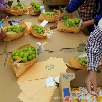 阳光玫瑰葡萄纸袋提子外包装一次性晴王透气纸套袋夏黑葡萄袋图2