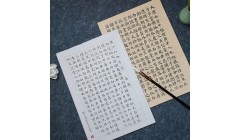 沐川竹业技改潮涌：多个造纸项目驱动产业腾飞新征程