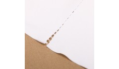 奚正平董事长调研中国纸业在湘企业