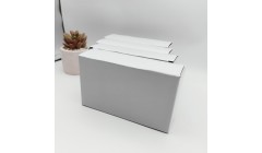 2025年国内首条大型造纸生产线在安徽向阳纸业成功投产