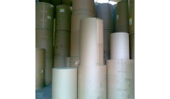 超200亿元以纸代塑项目落地日照经开区