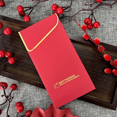 红包蛇年创意个性高档新年红包袋批发百元烫金结婚LOGO定制利是封图3