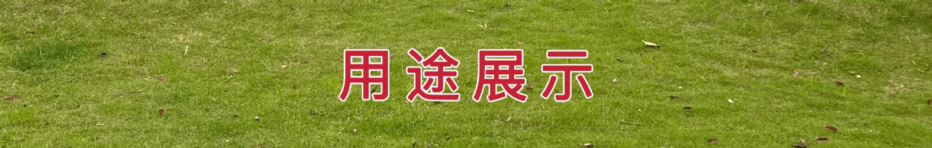 253003c984b9342152a900145ed9c0