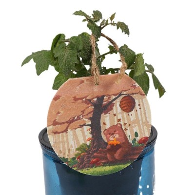 植物水果异形种子纸可种植发芽创意彩绘艺术纸手工DIY趣 味特种纸图2