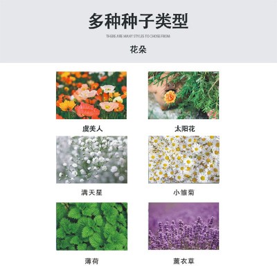 厂家批发种子纸演唱会门票明星应援婚礼请帖贺卡吊牌明信 片邀请函图3