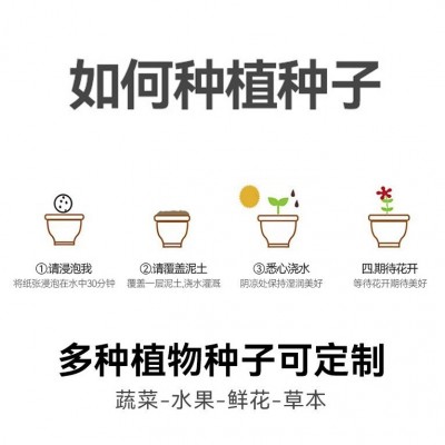 厂家批发种子纸演唱会门票明星应援婚礼请帖贺卡吊牌明信 片邀请函图2