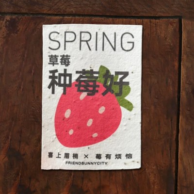 环保印刷种子纸 可发芽专属明信片节日贺卡邀请函凹印艺术种子纸图4