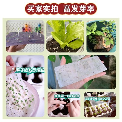 婚礼请柬种子纸 可发芽结婚请帖毛线毛边纸贺卡凹印伴手礼种子纸图2