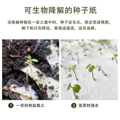 婚礼请柬种子纸 可发芽结婚请帖毛线毛边纸贺卡凹印伴手礼种子纸图4