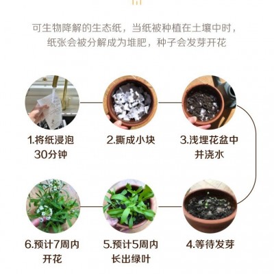 批发种子纸卡片 创意降解活动门票邀请函婚礼原料贺卡种 子纸卡片图4